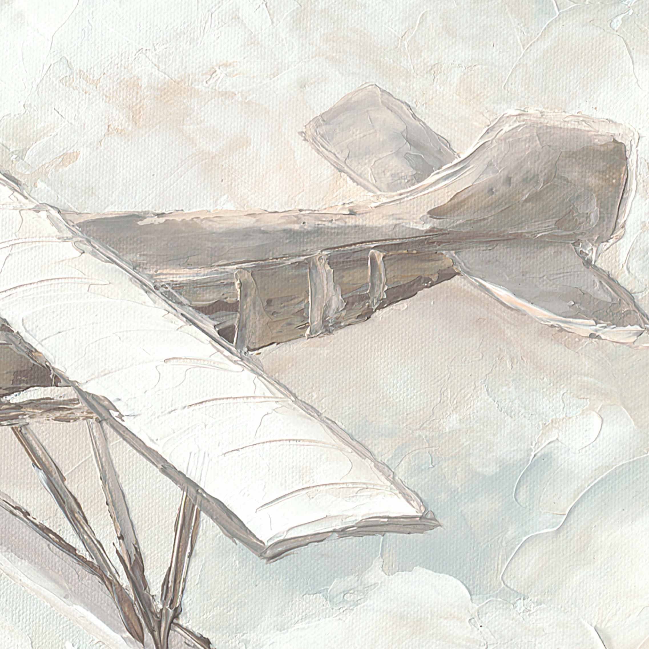 Adventure Awaits: Plane