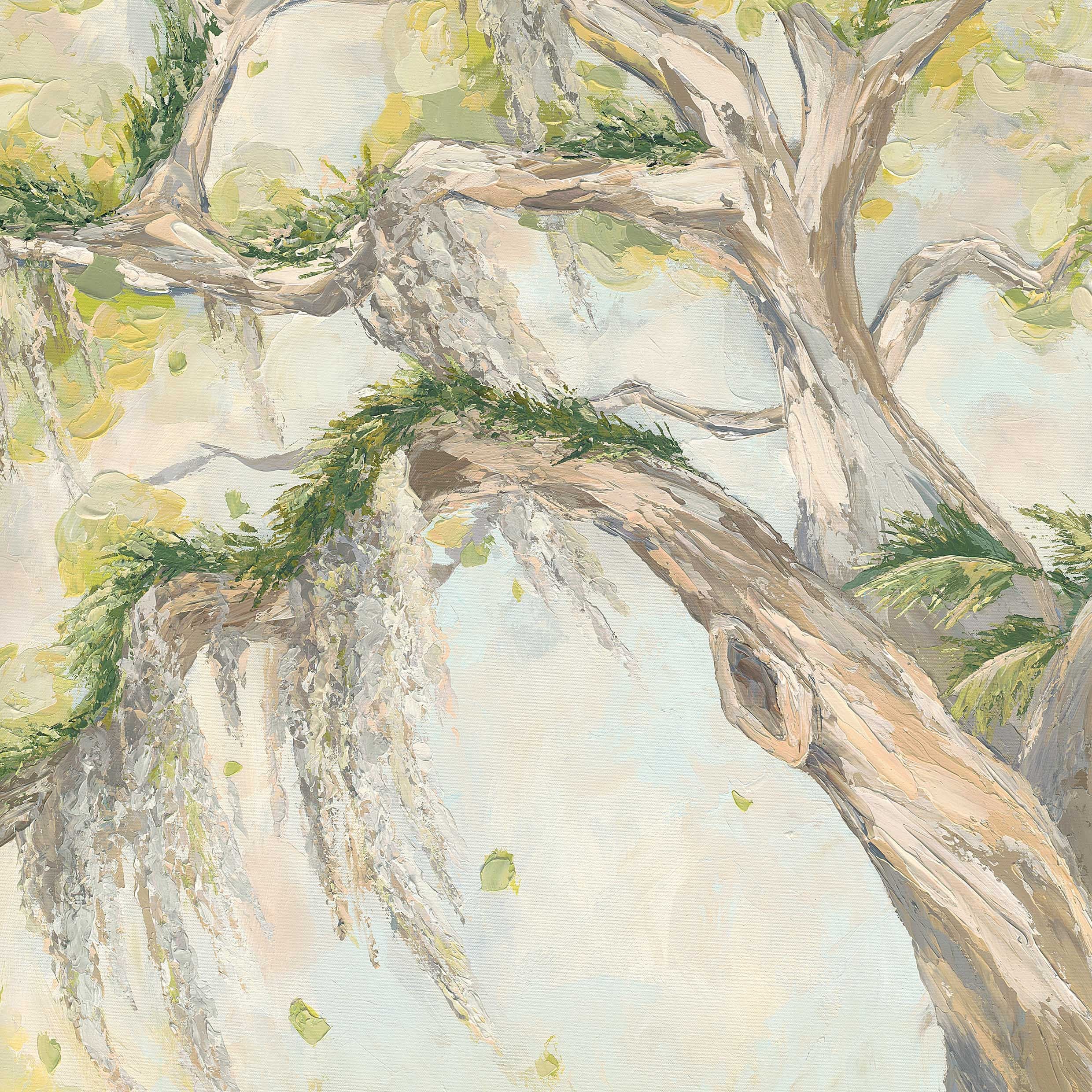 A Welcomed Breeze
