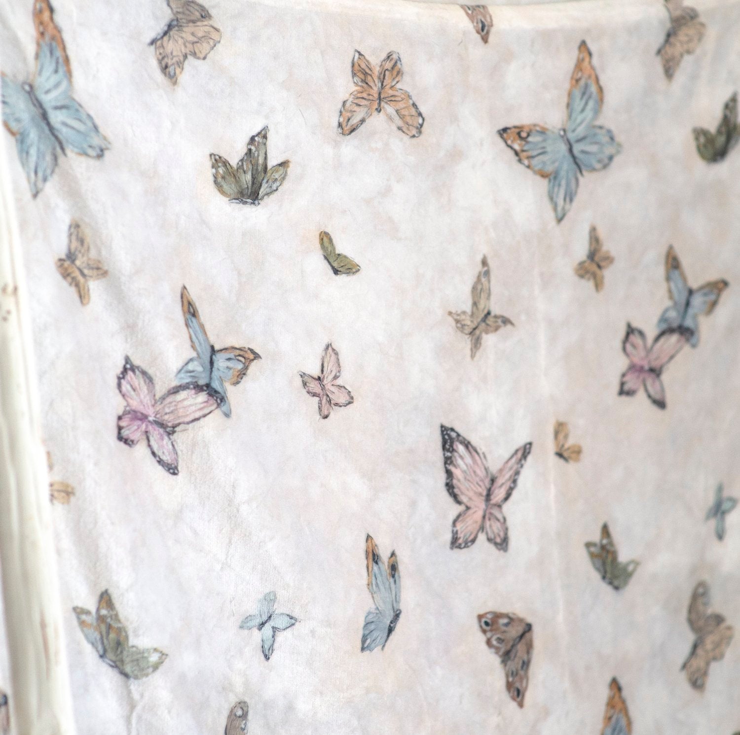 Dreams of New Beginnings Silk Fur Blanket
