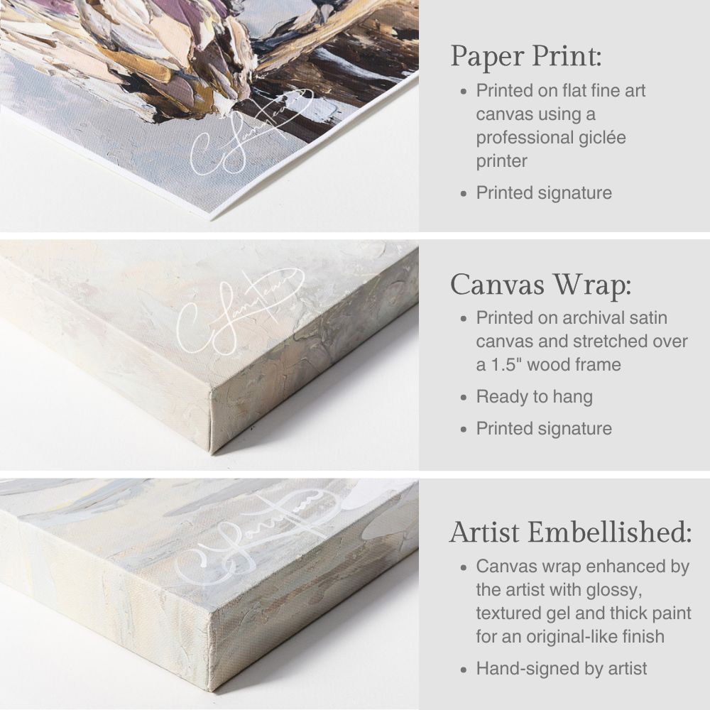 Rooftops of the Quarter