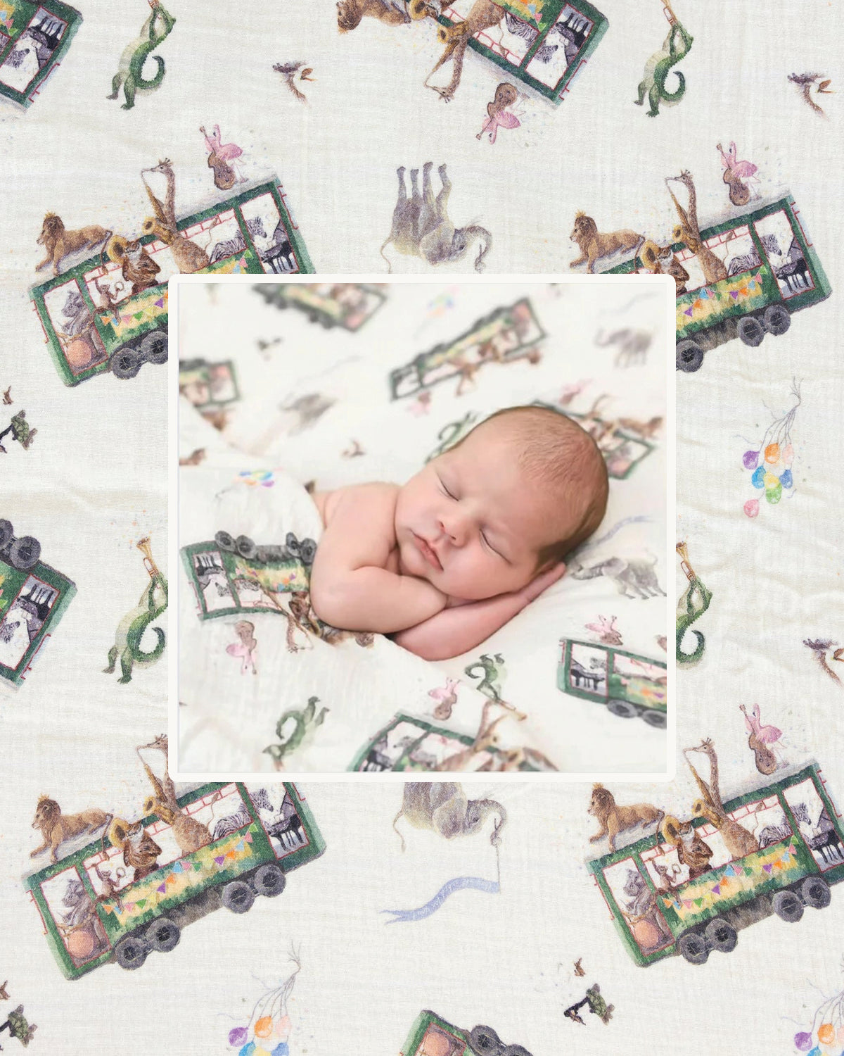Zoo Krewe Swaddle