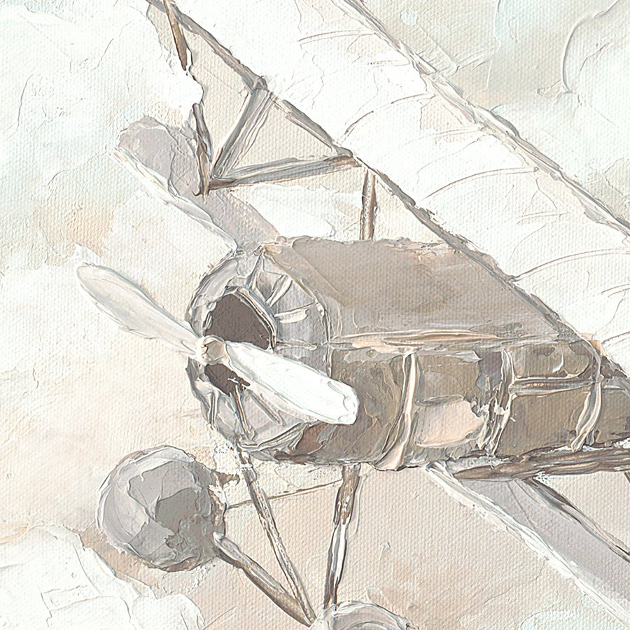 Adventure Awaits: Plane