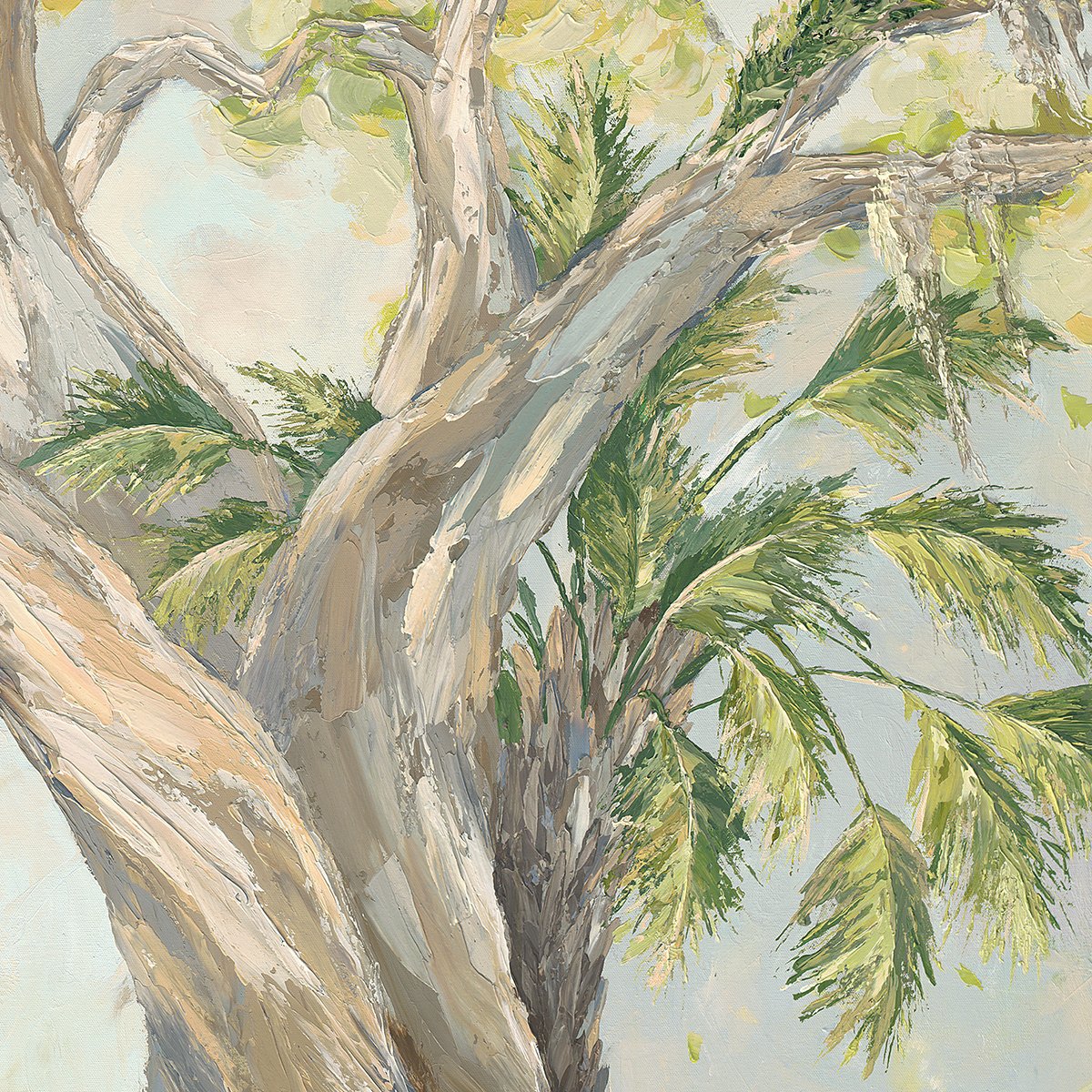 A Welcomed Breeze