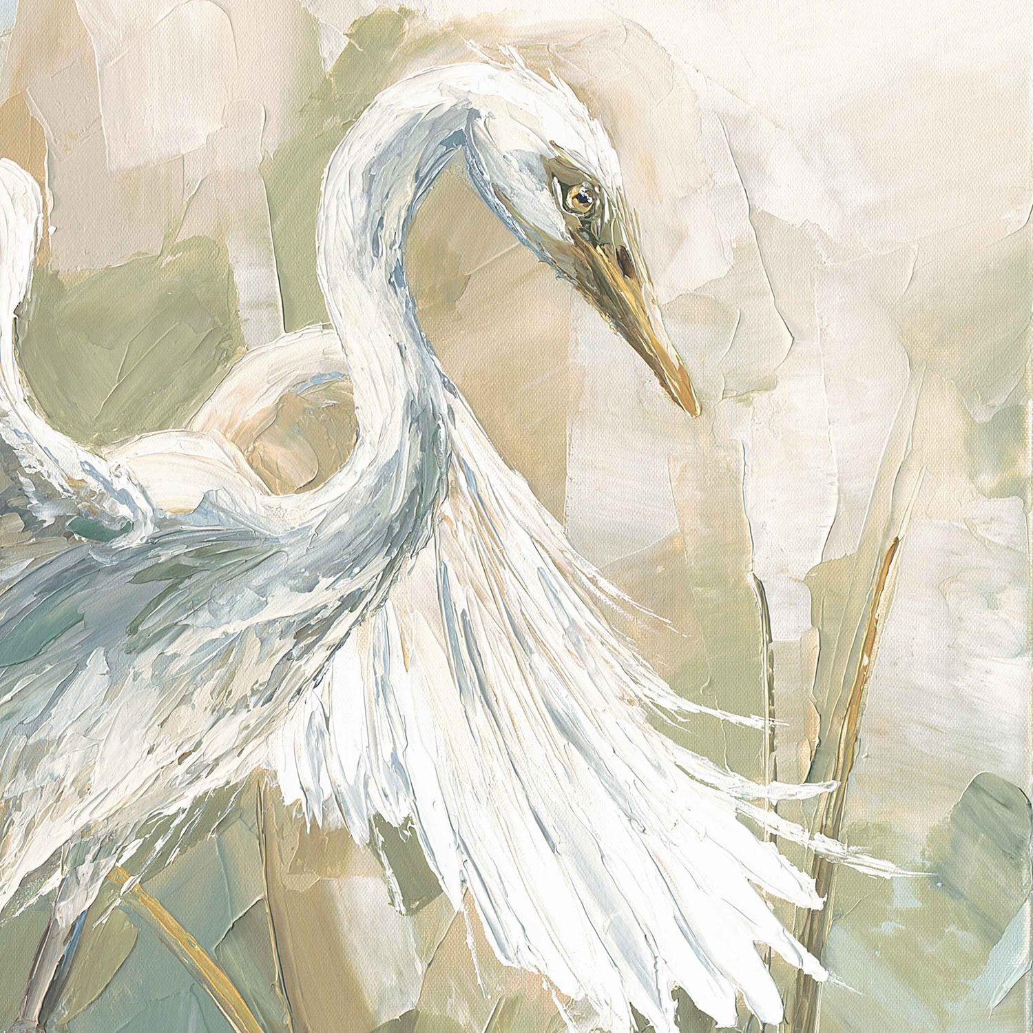 Marsh Mates: Open Wings