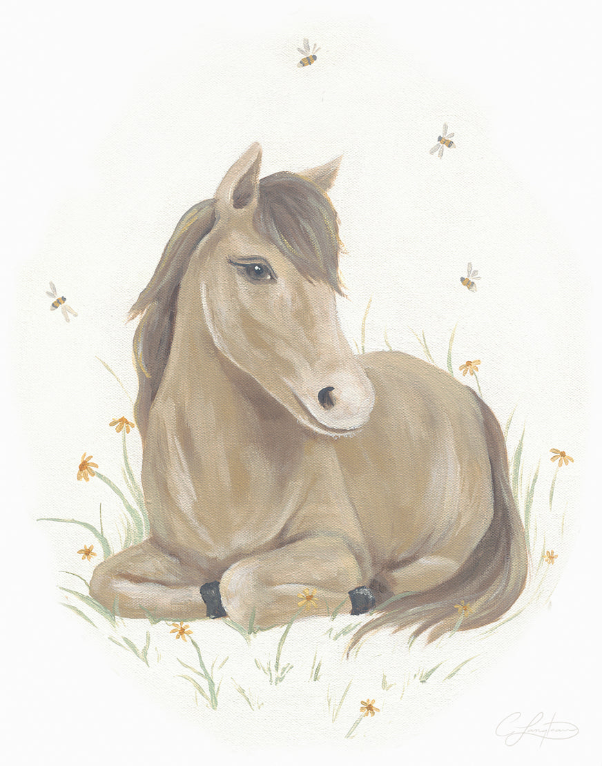 Once Upon a Farm Minis