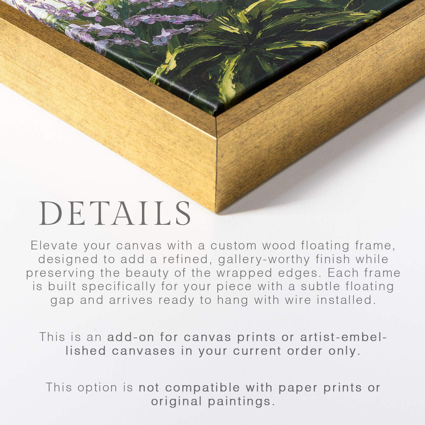 Custom Canvas Frame Add-On