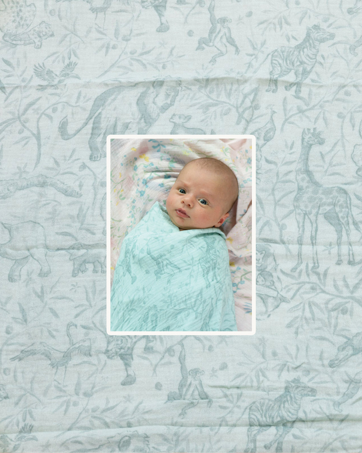 Wildly Loved Swaddle